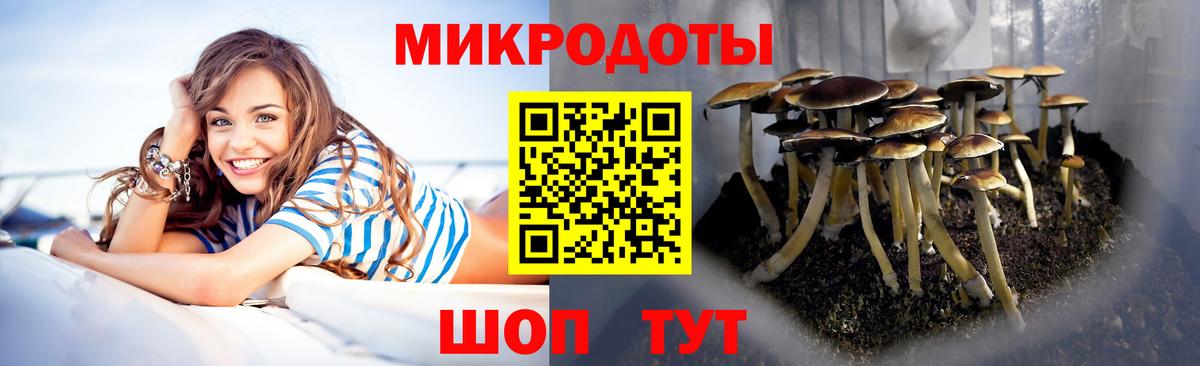 Галлюциногенные грибы Cubensis Тара